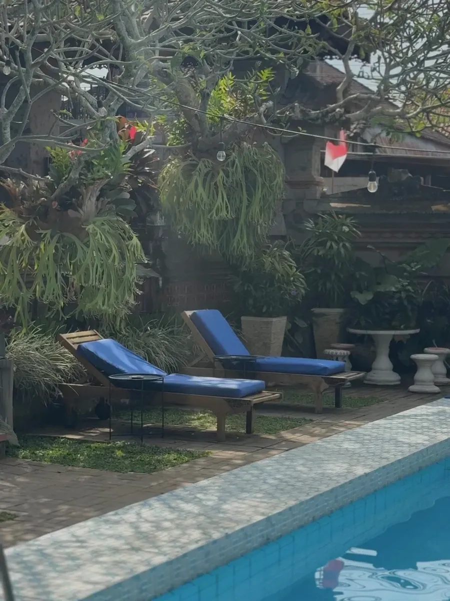Blue sun loungers beside the pool under a frangipani tree